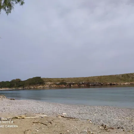 Arki Island-katsavidis *