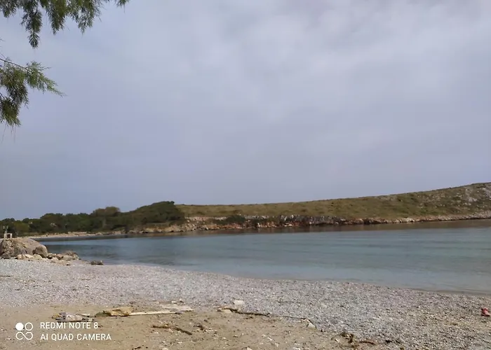 Arki Island-katsavidis *